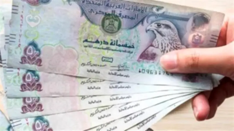 سعر الدرهم الإماراتي اليوم في مصر.. تباين محدود بالبنوك
