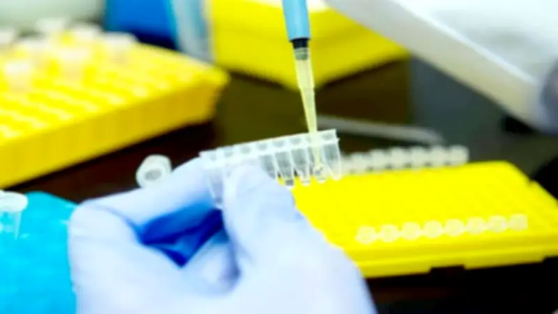 أطباء وباحثون: مشروع الجينوم المصري يحقق طفرة في العلاج والتعليم والبحث العلمي