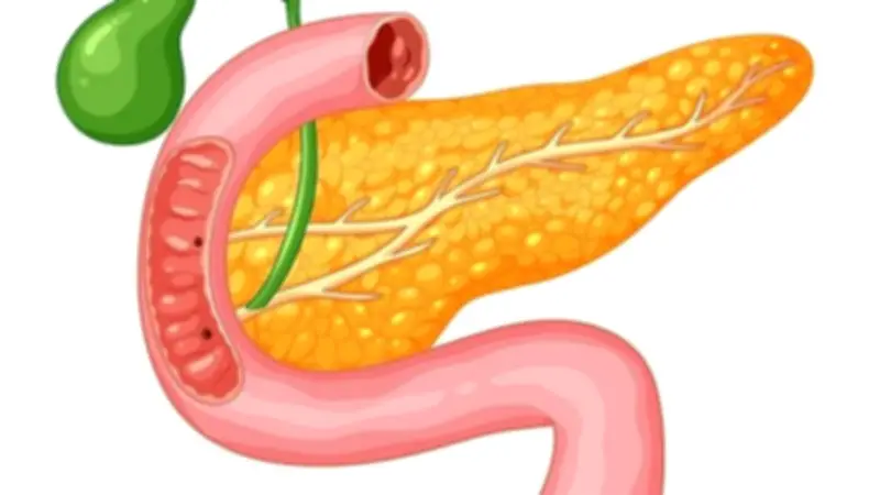 أخصائي رعاية يكشف أسباب وأعراض التهاب البنكرياس ومضاعفاته