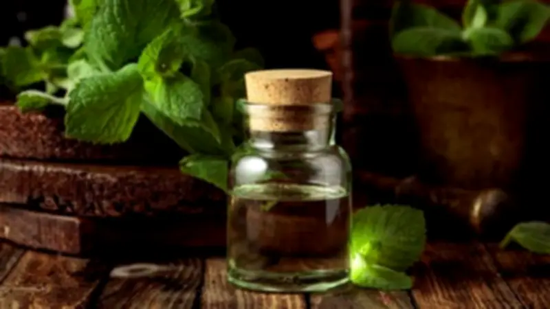 طرق استخدام زيت النعناع لتسليك الأنف وتهدئة أعراض البرد والكحة للأطفال