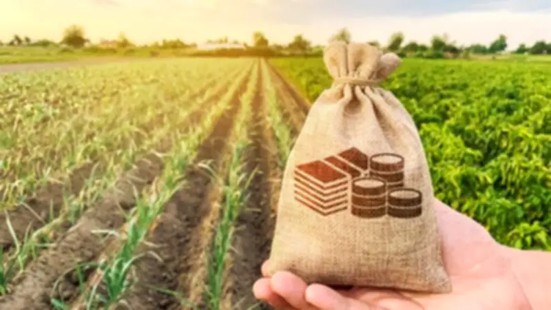 خطة التضامن لتوفير قروض ميسرة للسيدات لتحقيق التمكين الاقتصادي