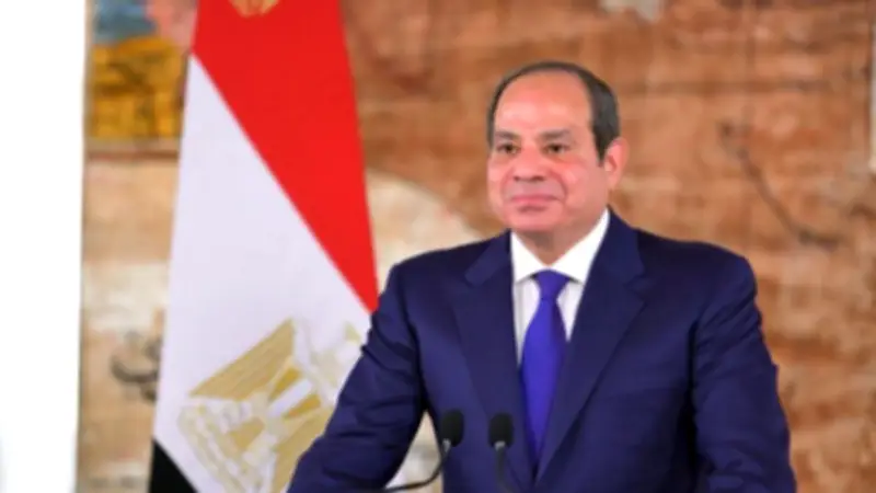 الرئيس السيسي: تنمية سيناء جزء لا يتجزأ من تحريرها