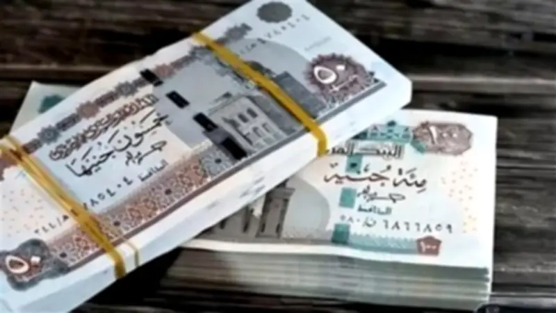 منح مالية في الأعياد لأصحاب المعاشات.. تفاصيل مقترح برلماني جديد