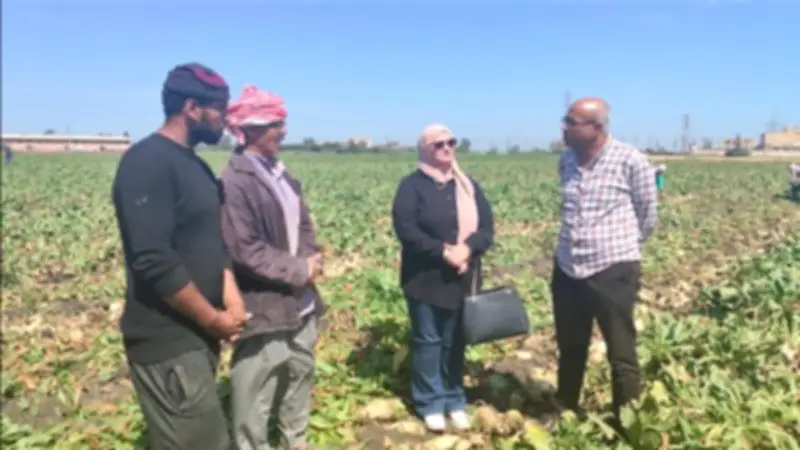 الدقهلية تحتفل بيوم حصاد بنجر السكر في ميت سويد بحضور وكيل الزراعة