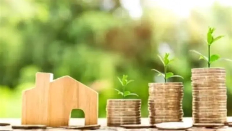 حكم إخراج الزكاة على الأراضي المخصصة للبناء.. الإفتاء توضح