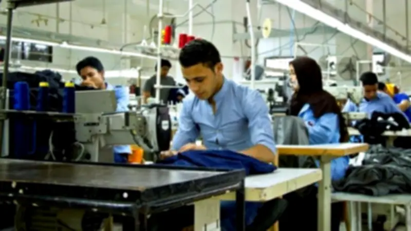 نصائح لأصحاب رؤوس الأموال الصغيرة لتحقيق مكاسب مضمونة