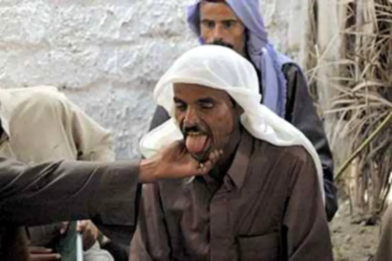 دار الإفتاء تحرم "البشعة" في إثبات التهم وتعتبرها كهانة وتعذيبًا