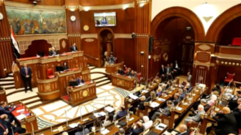 مجلس الشيوخ يحيل تقارير برغبات النواب إلى الحكومة لتنفيذ التوصيات