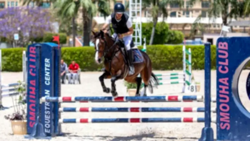 اليوم الثاني لبطولة الجمهورية للفروسية بالإسكندرية يشهد منافسات قوية