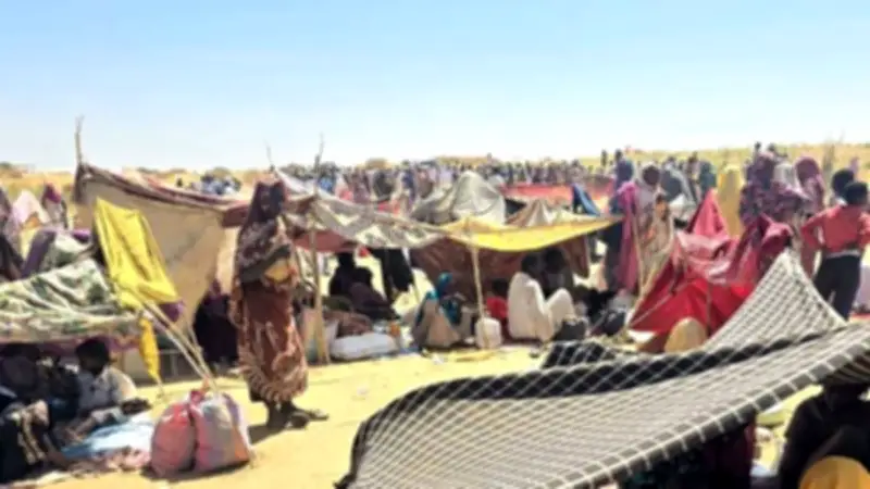 الكتلة الديمقراطية: انتصارات الجيش في النيل الأزرق تحمل أبعادًا استراتيجية واقتصادية وأمنية