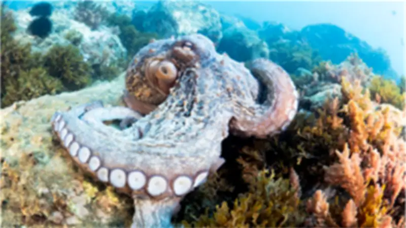العثور على وحش عملاق في قاع المحيط يعود للعصر الطباشيري
