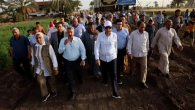 محافظ المنيا يشارك المزارعين فرحة حصاد القمح في قرية بني حكم