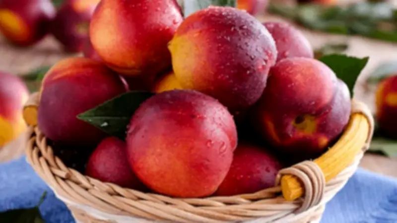 ماذا يحدث لجسمك عند تناول الخوخ بانتظام؟ فوائد وأضرار