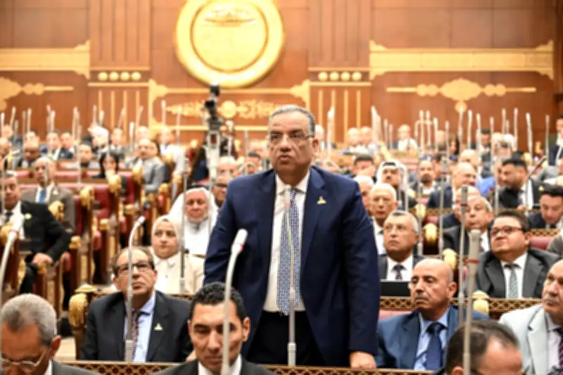 محمود مسلم يدعو لوضع خطة لإعادة تأهيل مراكز الشباب في مصر