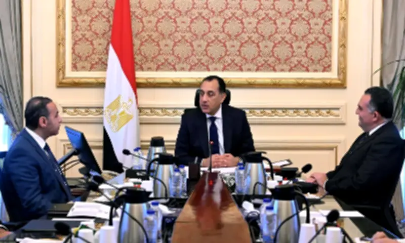 مدبولي: ضرورة التوسع في الأدوات المالية الجديدة لسوق رأس المال المصري وتعزيز استقرارها