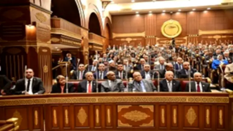 ناجي الشهابي: التعليم والشباب والثقافة ركائز للأمن القومي وليست مجرد خدمات