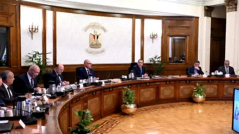 رئيس الوزراء: الدولة تستهدف جذب المستثمرين إلى شبه جزيرة سيناء