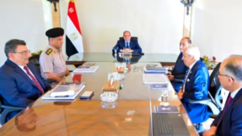 السيسي يتابع مشروعات الجلالة ويوجه بإنشاء منطقة سكنية للعاملين