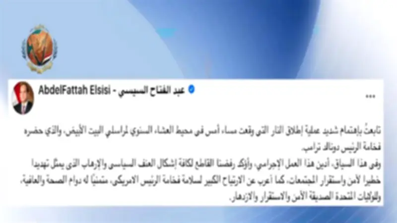 أستاذ علاقات دولية: تضامن السيسي مع ترامب يؤكد إدانة مصر للعنف السياسي