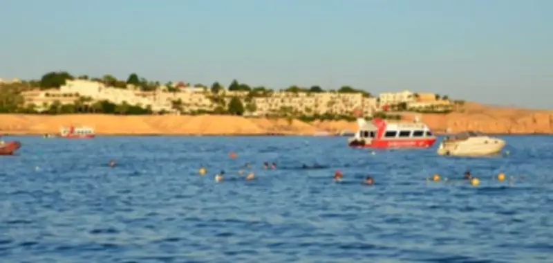 سيناء: قلب الأمن القومي وكنز السياحة المتنوع في مصر