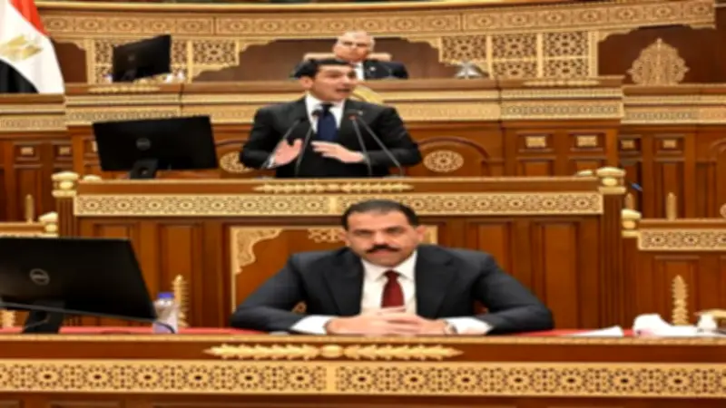 توصيات خدمية وتنموية لدمياط ضمن اقتراحات برغبات بمجلس الشيوخ