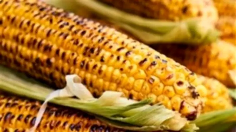 أخصائي تغذية يحذر من مخاطر الذرة المشوى على الفحم