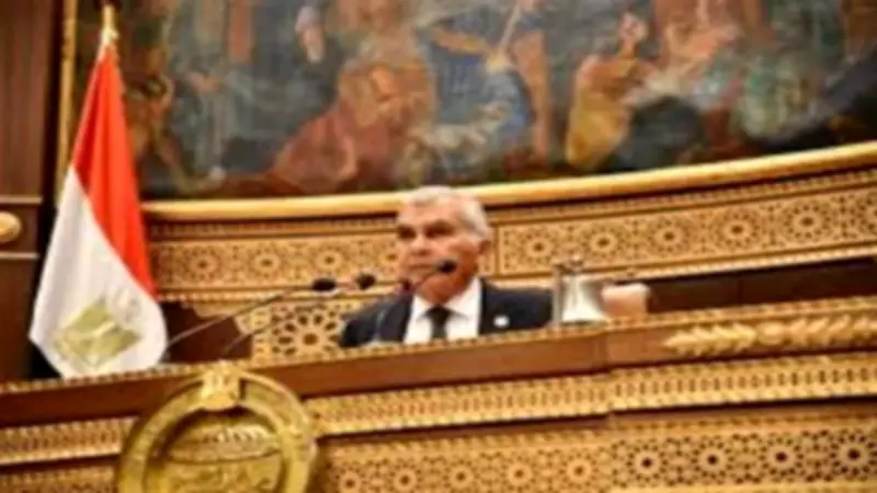 مجلس الشيوخ يبدأ مناقشة تعديلات قانون المعاشات والتأمينات