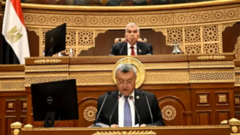 وكيل الشيوخ يطالب بوضع حد أدنى للمعاشات أسوة بالأجور