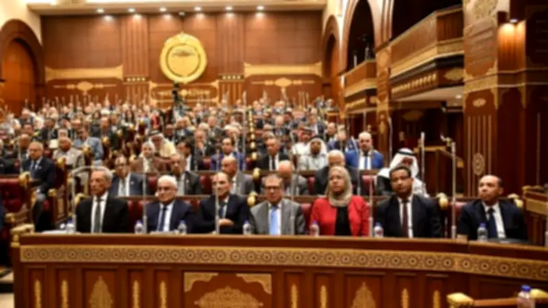 نواب الشيوخ يوافقون على تعديل قانون التأمينات لتحقيق العدالة الاجتماعية