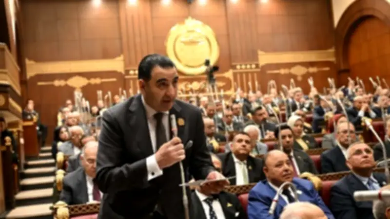 تطوير التأمينات الاجتماعية مطلب برلماني لتحسين معاشات كبار السن