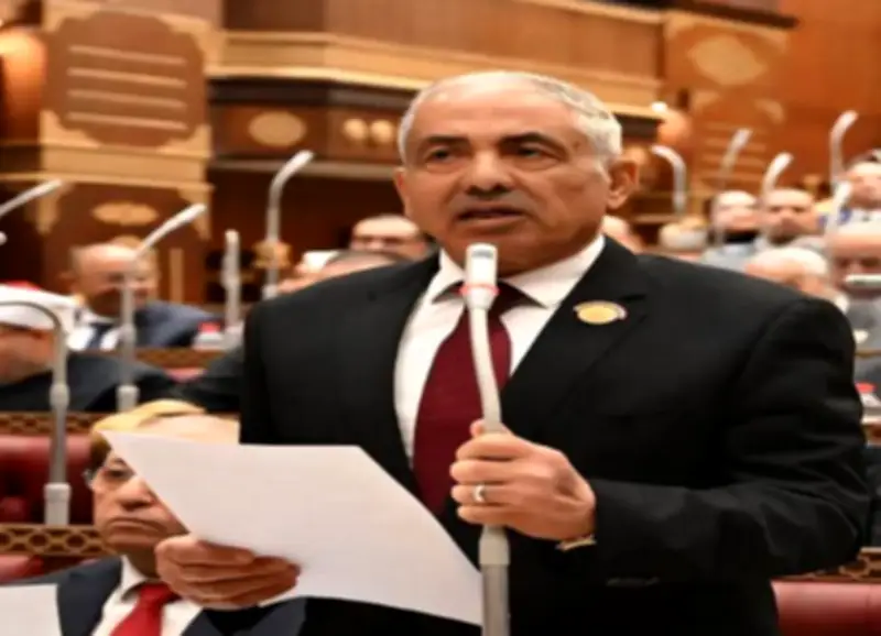 وكيل مجلس الشيوخ: تعديل قانون التأمينات الاجتماعية يرضي كل أصحاب المعاشات