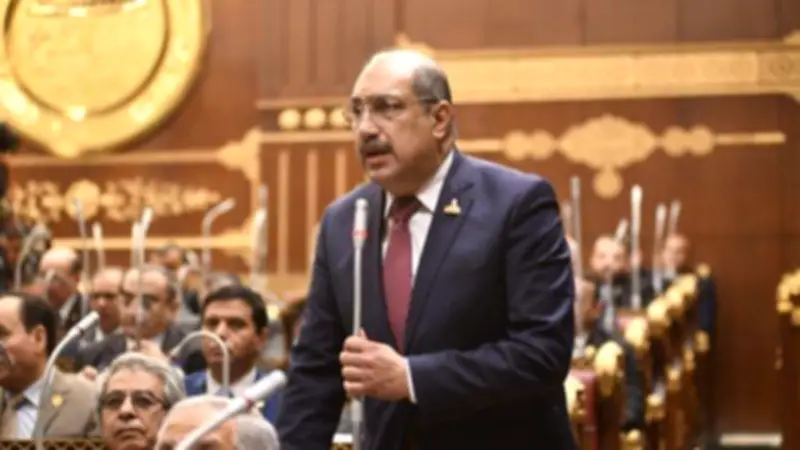 برلماني: رفع قيمة القسط السنوي للمعاشات ليس ترفا ويستهدف تحسين الخدمات