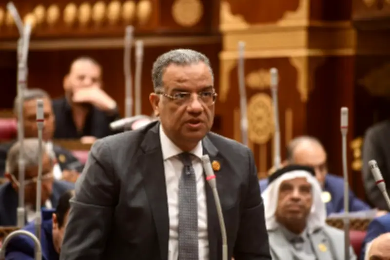 النائب محمود مسلم: التأمينات الاجتماعية ليست منحة بل استحقاق أصيل