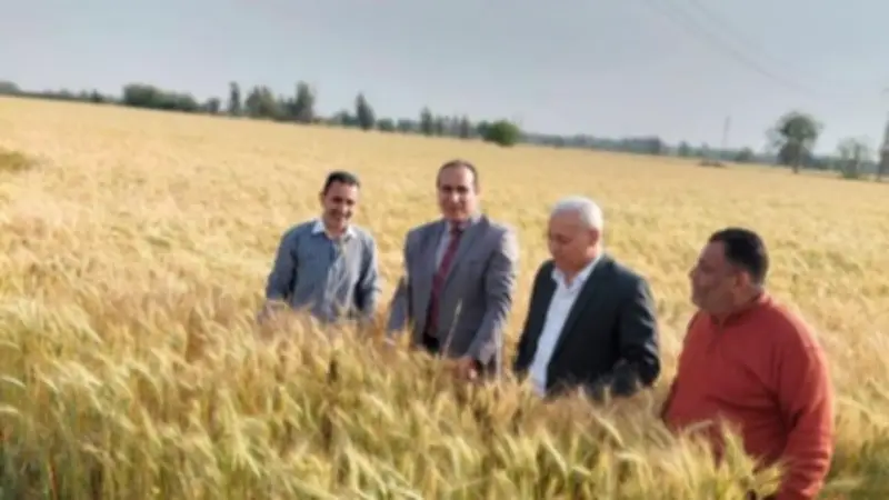 محافظة الشرقية تطلق ندوات توعوية وحملة لمكافحة القوارض لدعم المزارعين