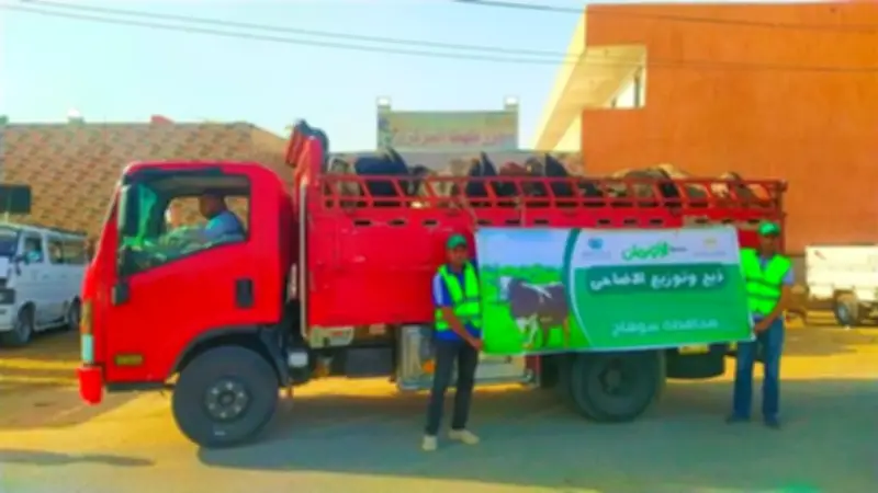 تضامن سوهاج: خطة متكاملة لتوزيع آلاف الأضاحي على الأسر الأولى بالرعاية