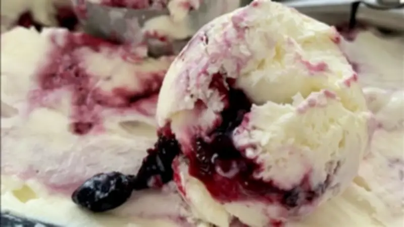 طريقة عمل آيس كريم الزبادي بالتوت بمذاق لا يقاوم