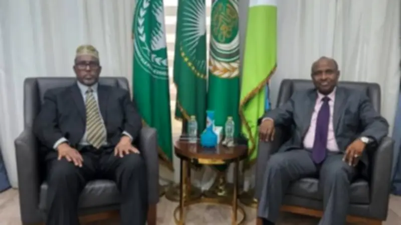 الصومال وجيبوتي تبحثان تعزيز الشراكة في القرن الإفريقي