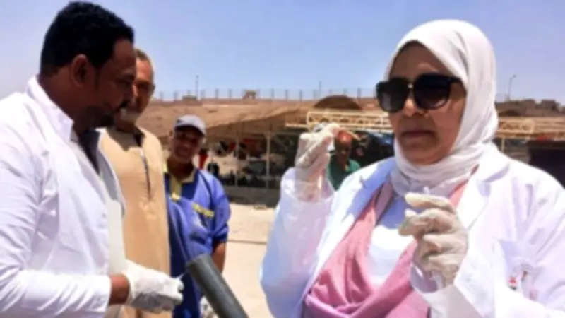 مبادرة بيطرى أسوان لتوعية وتطعيم وتعقيم الكلاب الضالة