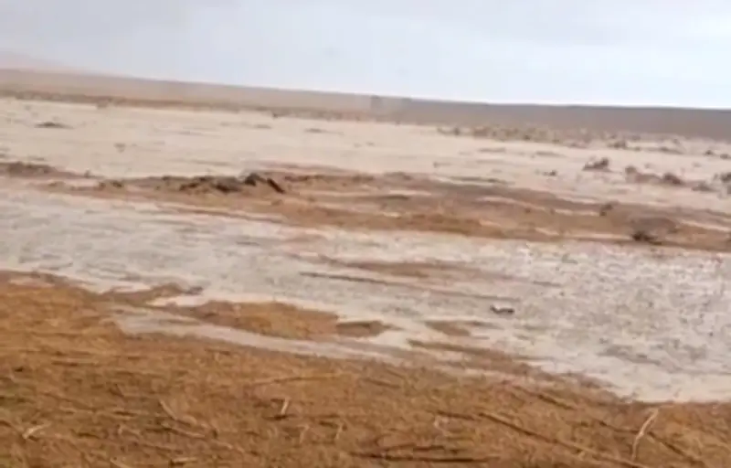 متابعة لحظية للسيول في شمال سيناء والتنسيق مع الجهات المعنية