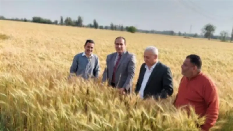 زراعة الشرقية تكثف ندواتها لدعم المزارعين وتحسين الإنتاج الزراعي