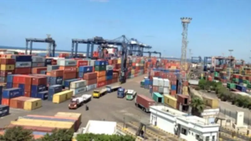 برلماني: الاستثمارات الصينية تفتح آفاقًا جديدة للتصدير في مصر