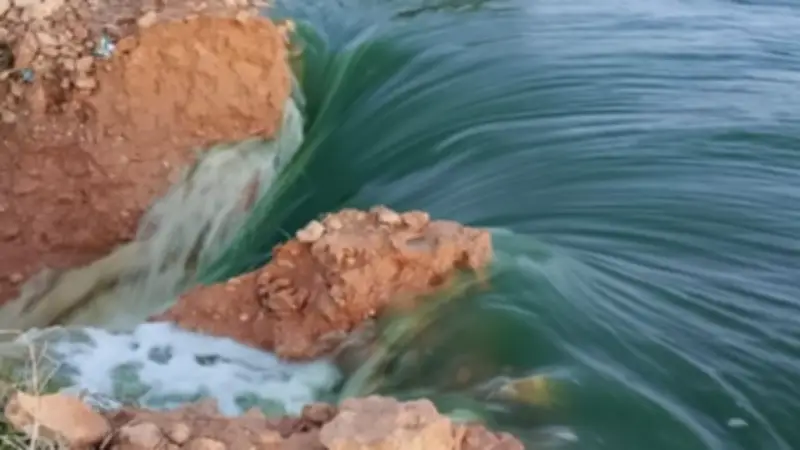 انهيار جزئي لسد مياه الصرف الصحي بالغابة الشجرية في مطروح