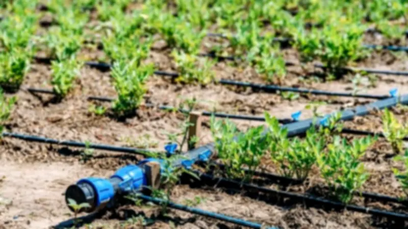 النائب أحمد سمير: مشروعات الري ركيزة أساسية لتحقيق التنمية المستدامة