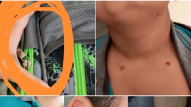 مدرسة العمران بالجيزة ترد على واقعة تنمر طالب وتكشف تفاصيل جديدة