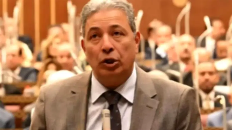 عضو مجلس الشيوخ: قانون الأسرة يجب أن يحمي الطفل أولا