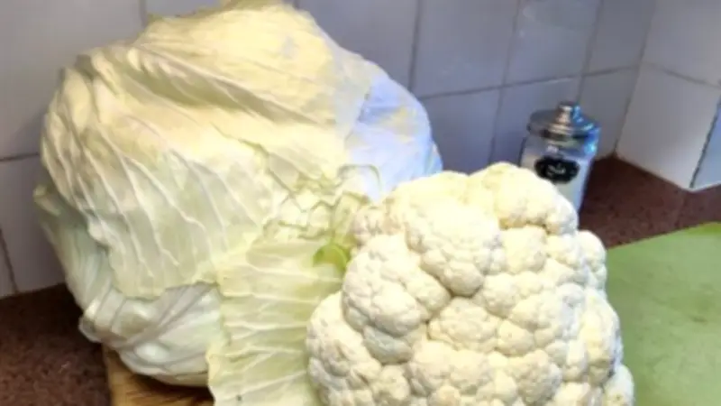 فوائد الكرنب والقرنبيط وطرق تجنب الغازات والانتفاخات