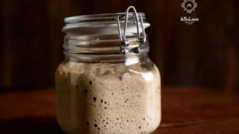 كائن حي في مطبخك.. طرق تخزين الخميرة الطبيعية لسنوات دون فقدان فعاليتها