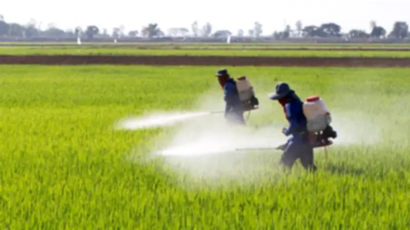 طلب إحاطة برلماني بشأن أزمة أسعار مدخلات الإنتاج الزراعي