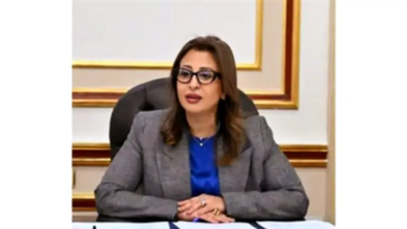 تعيين غادة عبد الباري أمينًا لمجلس شؤون فروع الجامعات الأجنبية