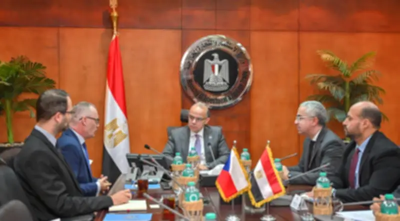 وزير الاستثمار: نعمل على تعميق التصنيع المحلي ورفع كفاءة استغلال الثروات المعدنية